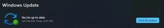 Windows 11: Cum să căutați actualizări