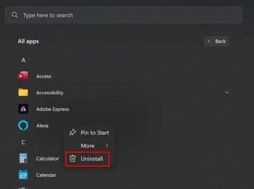 Windows 11: Cum să actualizați aplicațiile