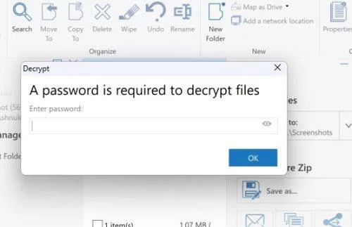 Cum să protejați un fișier cu parolă în Windows 11