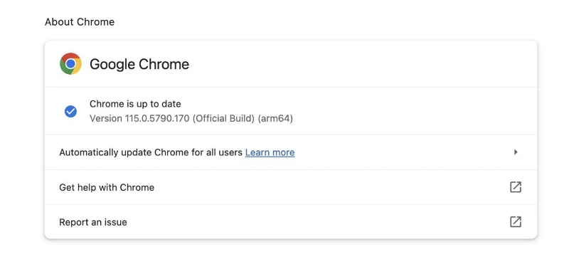 Chrome 업데이트 과정