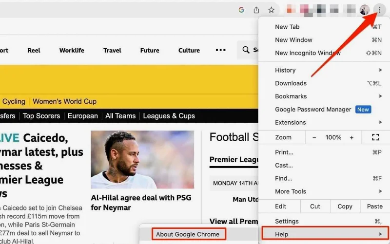 Chrome 업데이트