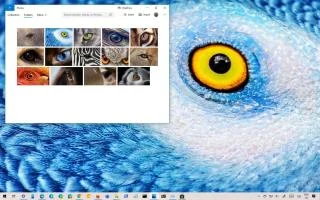 WILD EYES THEME ДЛЯ WINDOWS 10 (СКАЧАТЬ)