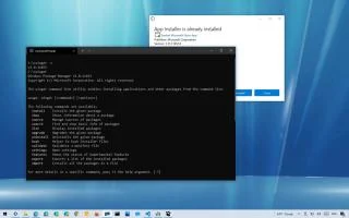 Cómo instalar winget en Windows 10