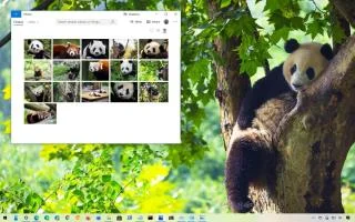 ТЕМА ПАНДА ДЛЯ WINDOWS 10 (СКАЧАТЬ)