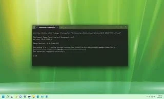 Windows 11에 CAB 파일을 설치하는 방법