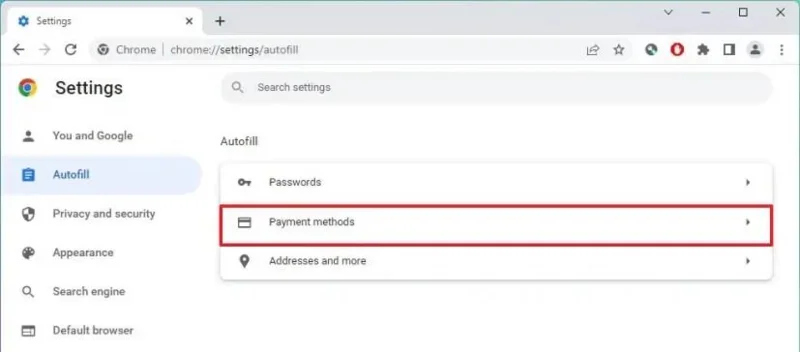 How to delete autofill entries on Google Chrome