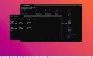 Как проверить версию WSL в Windows 10 или 11