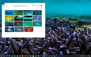 TEMA NAZIONALE GEOGRAFICO SUBACQUEO PER WINDOWS 10 (DOWNLOAD)