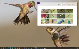 ТЕМА NATIONAL GEOGRAPHIC HUMMINGBIRDS ДЛЯ WINDOWS 10 (СКАЧАТЬ)