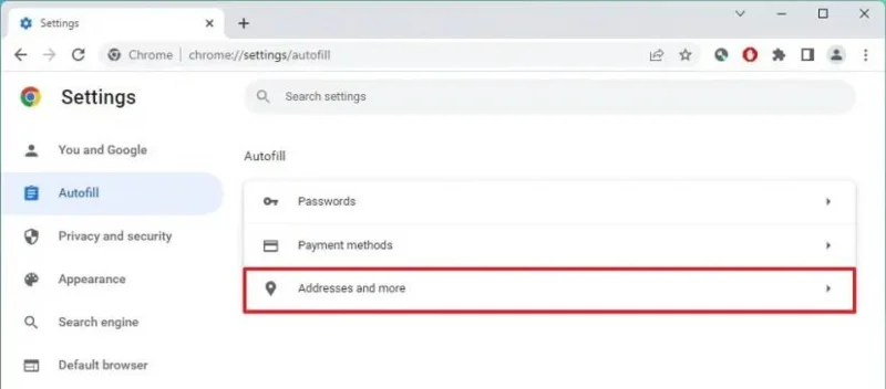 How to delete autofill entries on Google Chrome