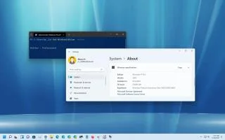 Как проверить, установлена ​​ли у вас Windows 11 Home или Pro