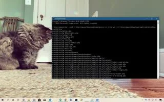 Как быстро извлечь файлы .tar.gz в Windows 10