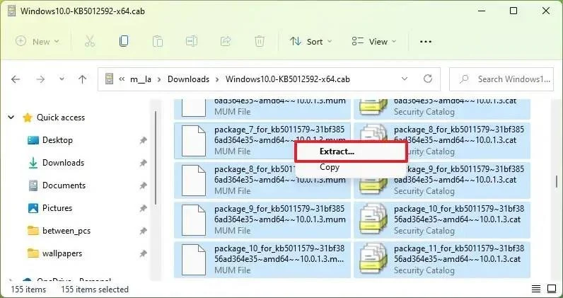 How to extract CAB file on Windows 11