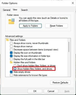 How to show hidden files on Windows 11