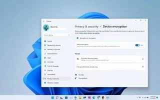 Как включить шифрование устройства BitLocker в Windows 11 Home