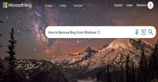 Как удалить поиск Bing из Windows 11