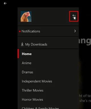 Netflix: Hesabınız için Yeni Bir Netflix Profili Nasıl Oluşturulur