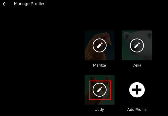 Netflix: Hesabınız için Yeni Bir Netflix Profili Nasıl Oluşturulur
