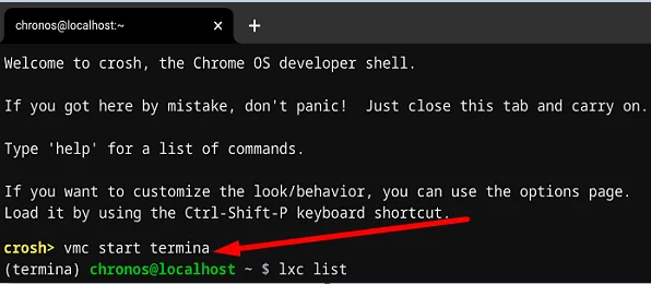 Chromebook'u Düzeltin: Penguen Konteynerini Başlatma Hatası