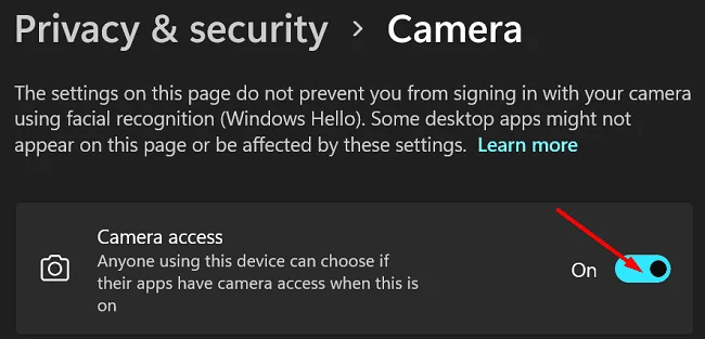 Windows Kamera Hata Kodunu Düzeltin 0xa00f4244