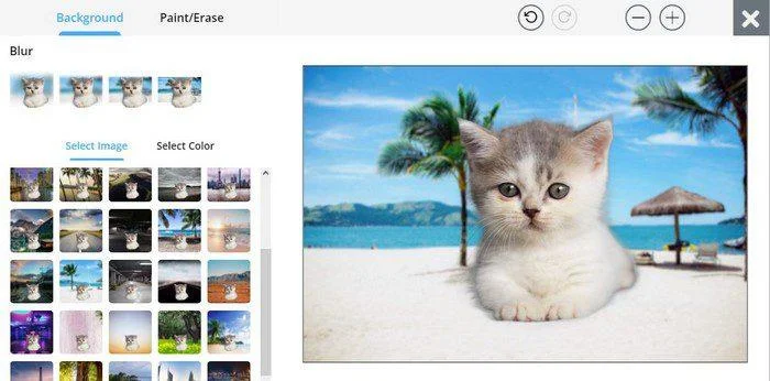 Bir Resmin Arka Planını Kaldırmak için 6 Ücretsiz Çevrimiçi Site