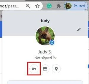 Chrome'da Zayıf Şifreler Nasıl Bulunur?