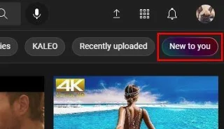 YouTube'da Yeni: Neden İncelemeye Değer?