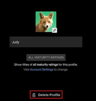 Netflix: Hesabınız için Yeni Bir Netflix Profili Nasıl Oluşturulur
