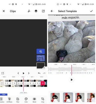 Harika Videolar için 5 Ücretsiz ve Olması Gereken TikTok Editörü