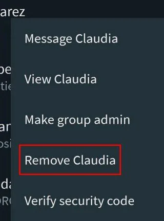 Herhangi Bir WhatsApp Grubunu Kalıcı ve Kolayca Silme