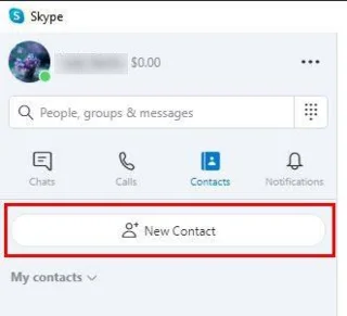 Skype Sesli ve Görüntülü Arama Nasıl Başlatılır