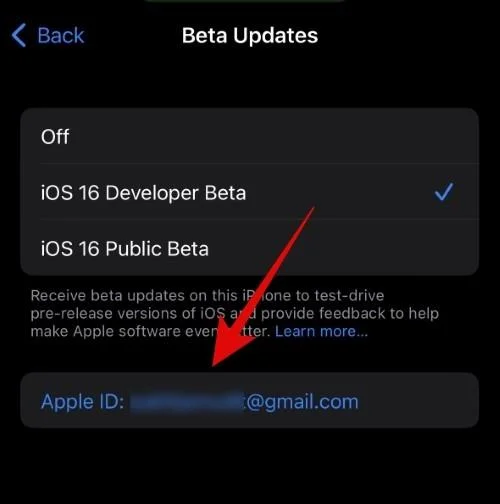 如何為 iOS Beta 更新選擇不同的 Apple ID