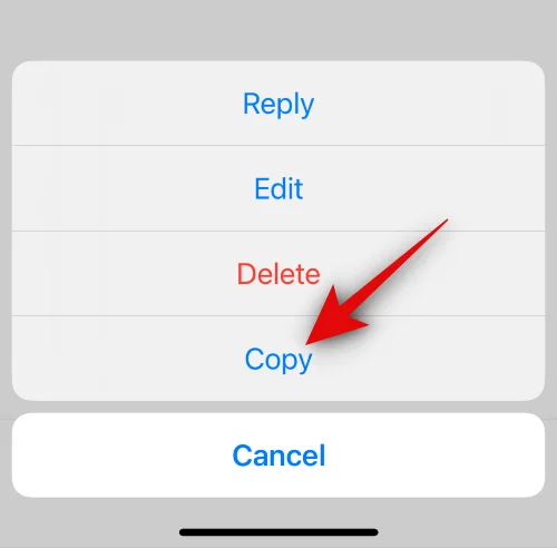iPhone에서 Facebook에 복사하여 붙여넣는 방법 [2023]