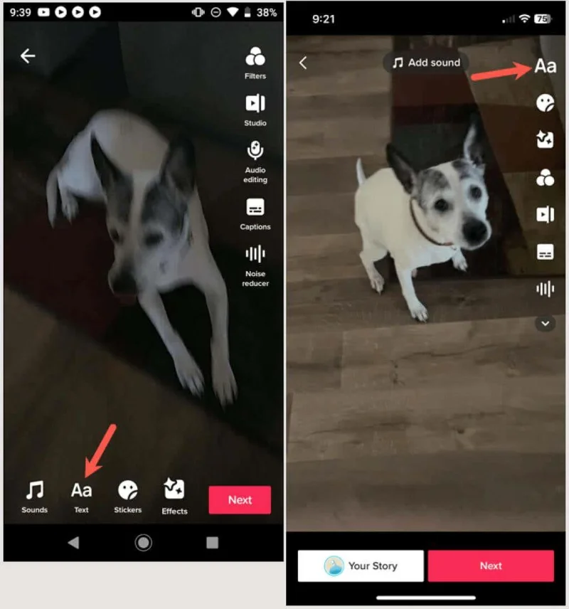 TikTok 비디오에 텍스트를 추가하는 방법