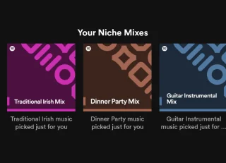 PC나 휴대폰의 Spotify에서 틈새 믹스를 찾는 방법