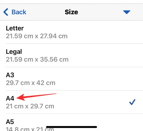 iPhone에서 Word 문서를 편집하는 방법 [AIO]