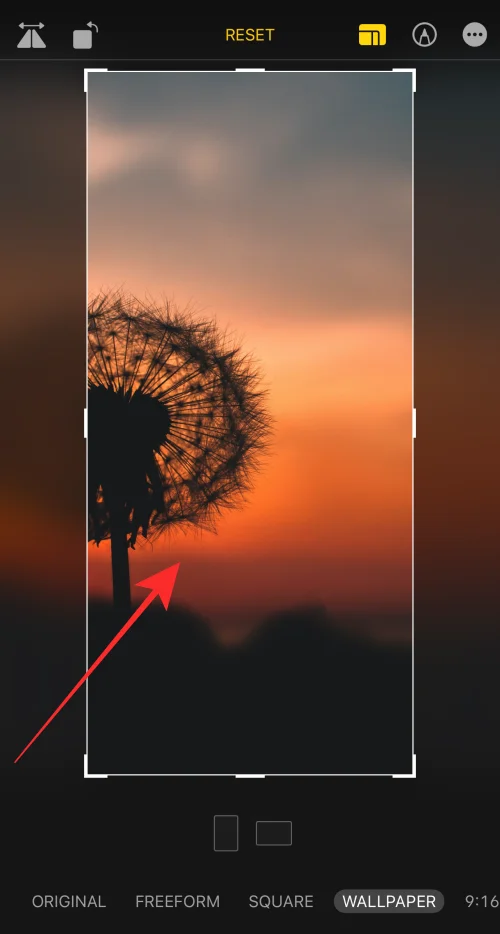 iPhone의 모든 이미지에서 iPhone 배경화면을 자르는 방법