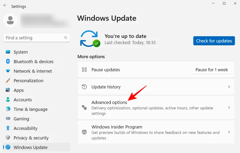 20가지 방법으로 Windows 11 사용자 지정: 단계별 가이드