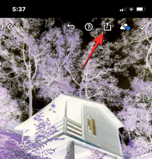 如何在 iPhone 上臨時或永久反轉圖片顏色