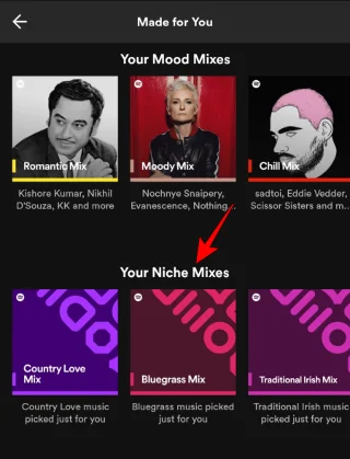 PC나 휴대폰의 Spotify에서 틈새 믹스를 찾는 방법