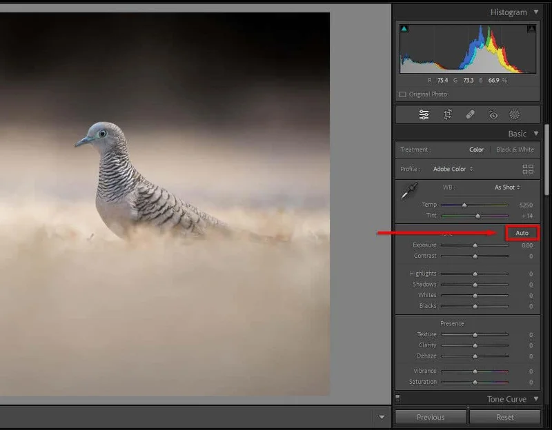 기술 향상을 위한 10가지 Lightroom 편집 팁