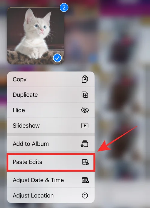 iOS 16의 iPhone 사진 앱에서 편집 내용을 복사하는 방법