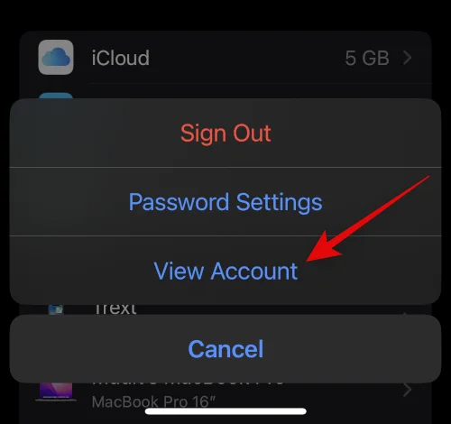IOS 16 사진 컷아웃이 작동하지 않나요?  8가지 방법으로 고치는 방법