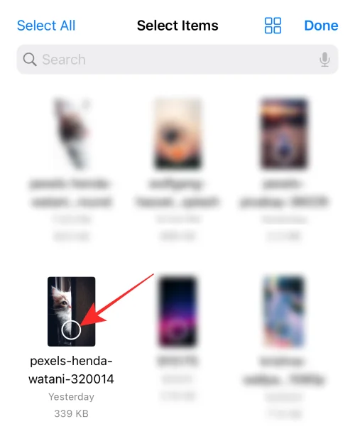[쉬움] iPhone 또는 iPad에서 파일 앱을 사용하여 배경을 제거하는 방법