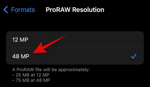 iPhone 14 Pro 및 Pro Max에서 48MP 카메라를 사용하는 방법