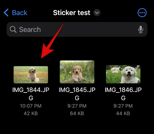IOS 16: 사진으로 스티커를 만드는 방법