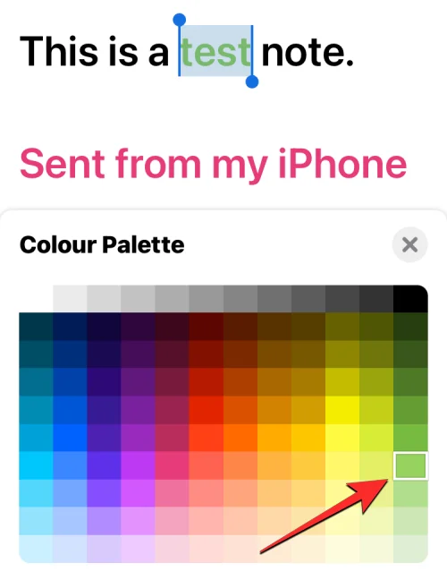 iPhone에서 글꼴 색상을 변경하는 방법