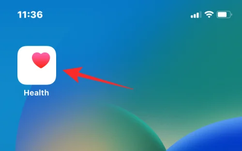 iPhone에서 약을 관리하는 방법: 건강 앱에서 약을 추가, 추적, 공유 및 삭제