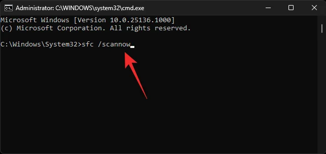 Windows 11 Spotlight가 작동하지 않나요?  9가지 수정 사항과 3가지 점검 사항