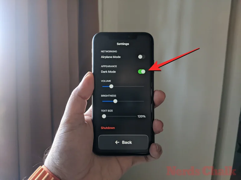 iPhone에서 보조 액세스를 사용하는 방법